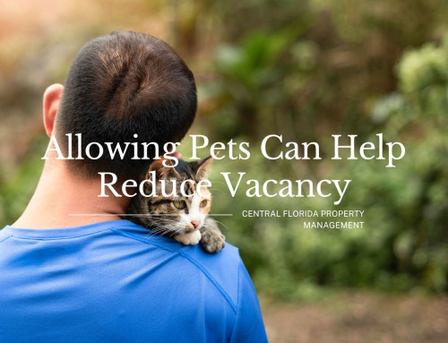 Why Allowing Pets Can Reduce Vacancy Risk in Rental Properties